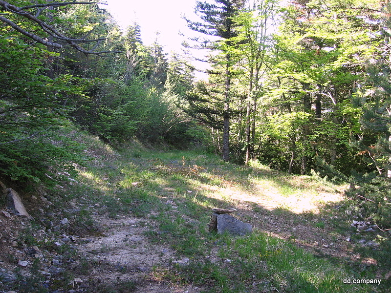 #2 Côte pleine : Après Côte pleine, ne ratez pas au croisement de pistes, le sentier partant sur votre gauche Côte pleine : Après Côte pleine, ne ratez pas au croisement de pistes, le sentier partant sur votre gauche