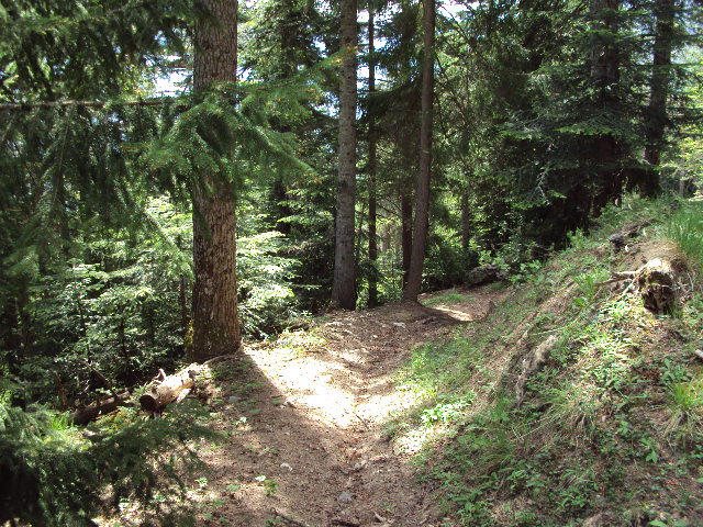 #9 balise : descente sur st victor balise : descente sur st victor