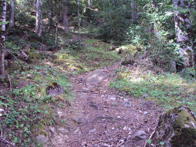 #10 descente : descente sur st victor descente : descente sur st victor