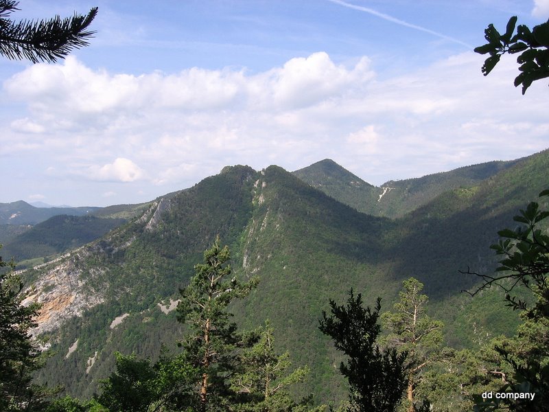 #1 Pic de l Pic de l'Aigle : Le Pic de l'Aigle (1359m), le col d'Airnoux à sa droite puis un peu plus haut le col de la Rivèrette. Le col de Porte en fond avec la piste descendant sur Pierre Buffe.