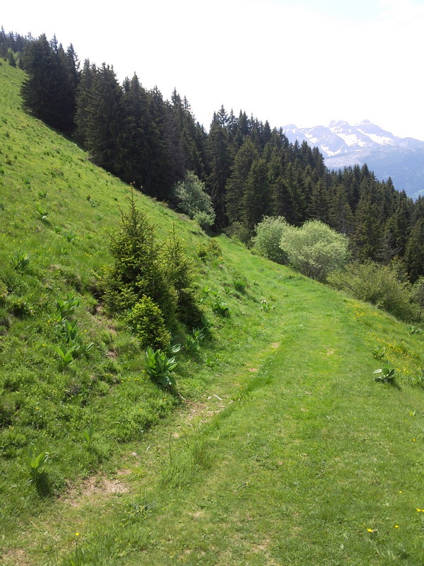 Descente : C'est parti pour une super descente....