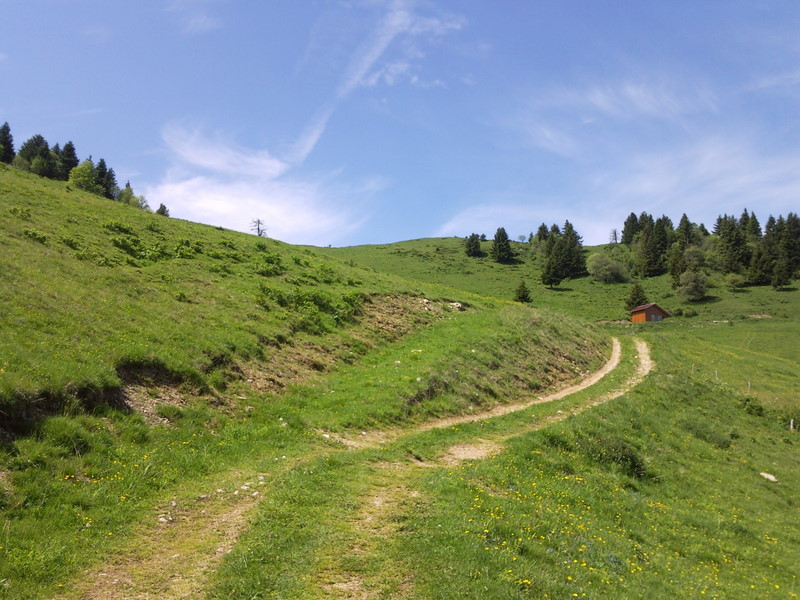 Montée à Plan Meule : Ambiance montagne.