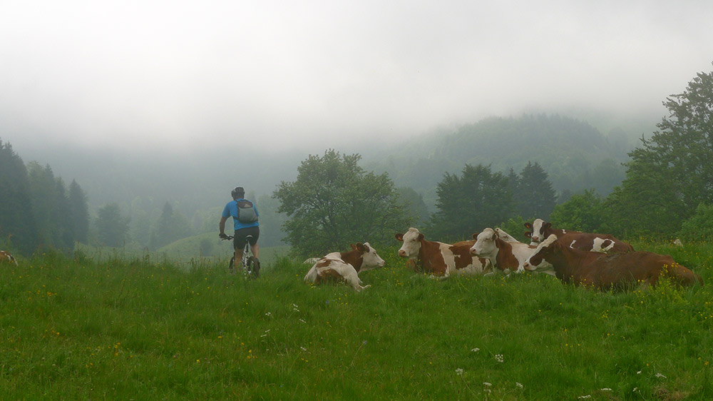 Alpage vers le Chalet Mermet : visibilité moyenne