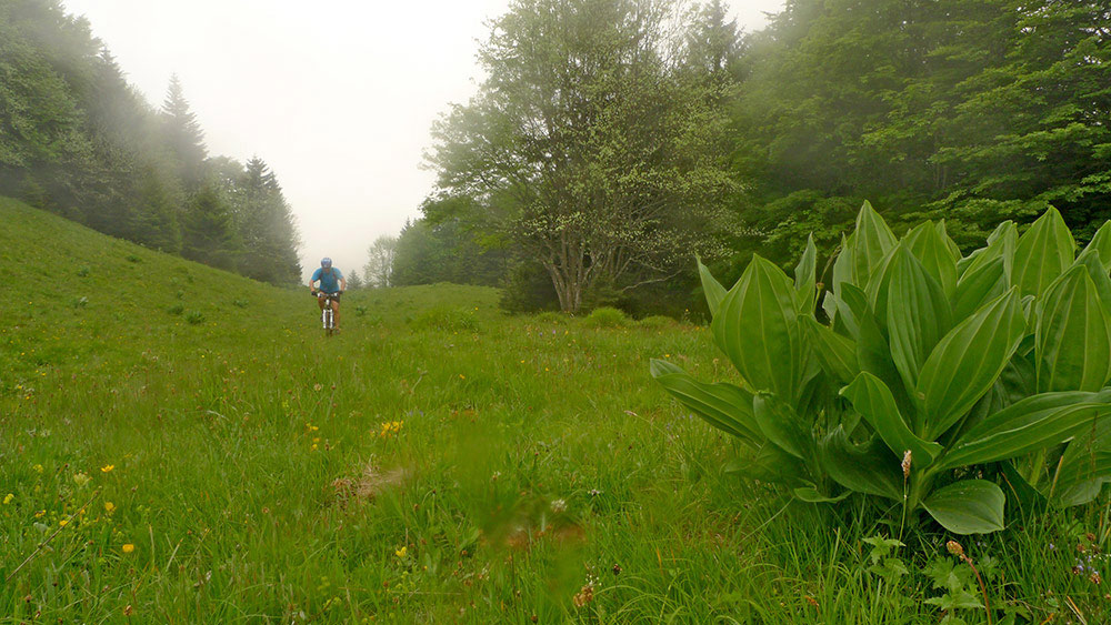 En direction des Trois Bornes : Vers 1400m au dessus du Creux de Lachat