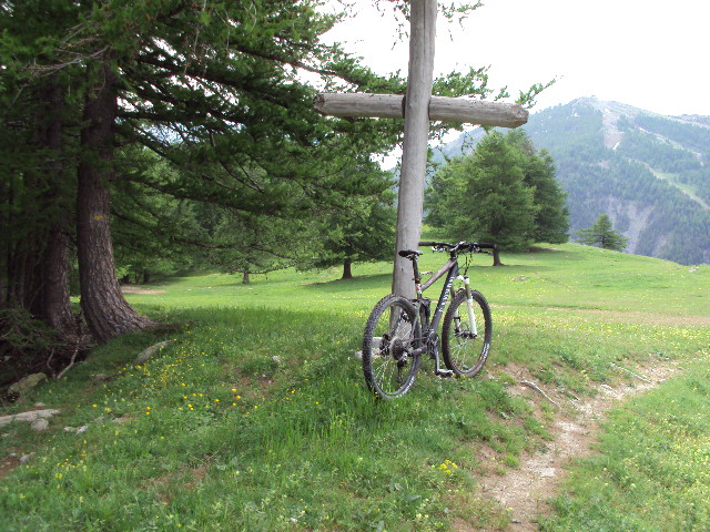 #11 plateau : la recompense plateau : la recompense