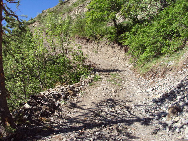 #2 piste : depart de la piste piste : depart de la piste