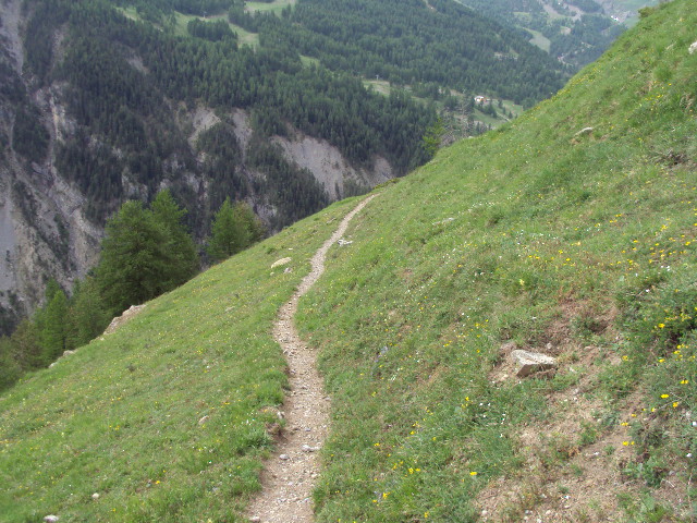 #12 sentier : un beau sentier sentier : un beau sentier