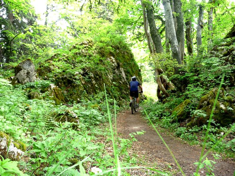 #1 Rocher : Joli passage sur les crêtes avant le Mont Fromage Rocher : Joli passage sur les crêtes avant le Mont Fromage