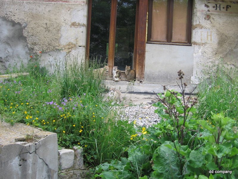 Réseau social ou pas, ça tchate à coup sûr à Gresse en Vercors!