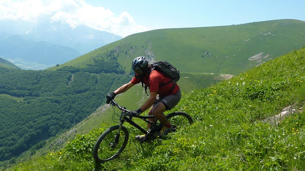 epingles en herbe qui s'enchainent à merveille