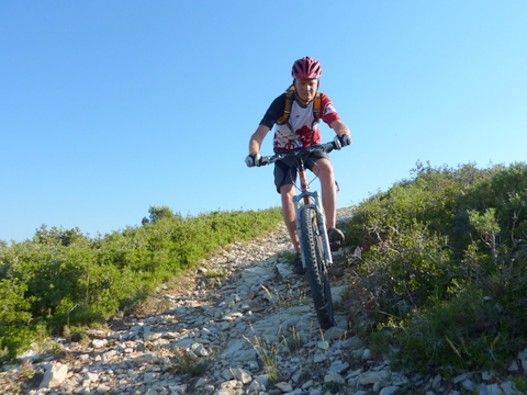 #4 Il aime les cailloux : des Alpilles Il aime les cailloux : des Alpilles