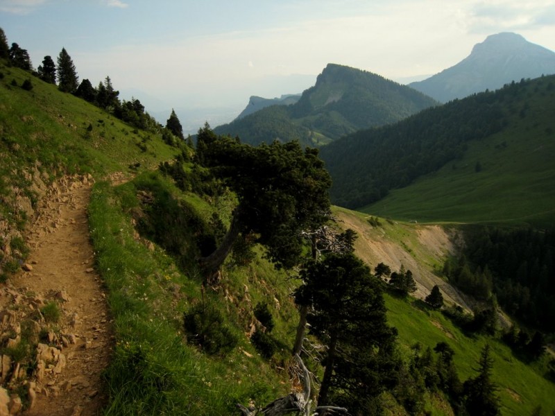 #11 Beau balcon : sur le col des Ayes Beau balcon : sur le col des Ayes