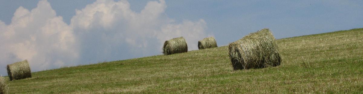 #15 La campagne La campagne