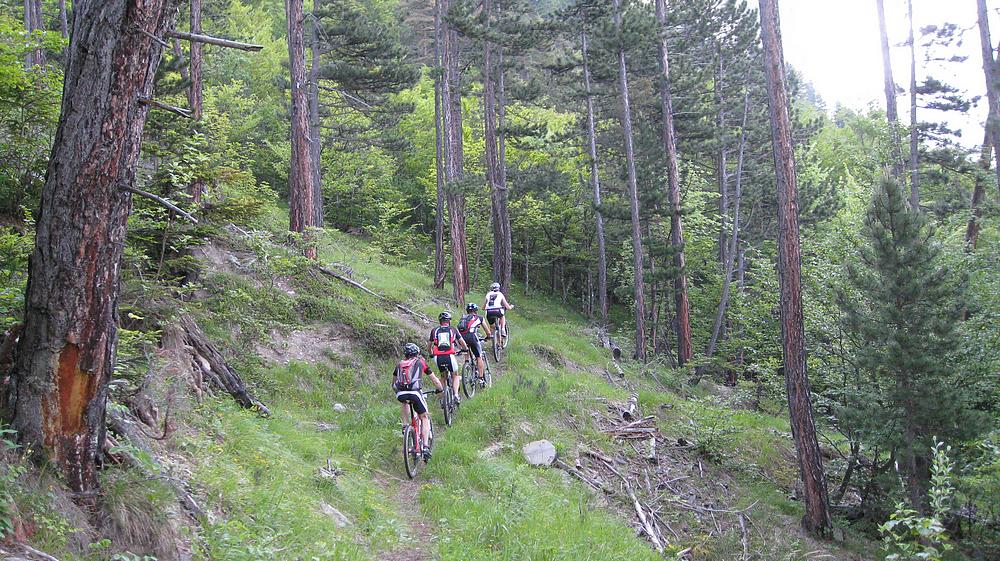 Début du sentier de Pomaray : ça s'annonce pas mal !!