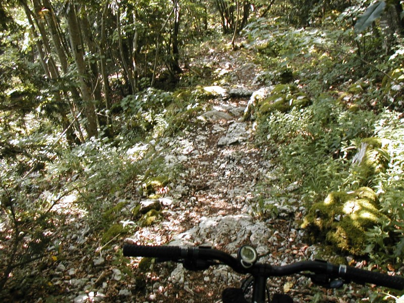 #4 sentier du milieu : petit passage technique sentier du milieu : petit passage technique