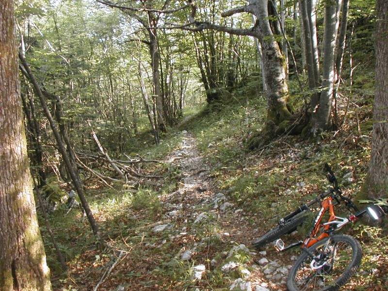 #1 le nouveau sentier : Miam! le nouveau sentier : Miam!