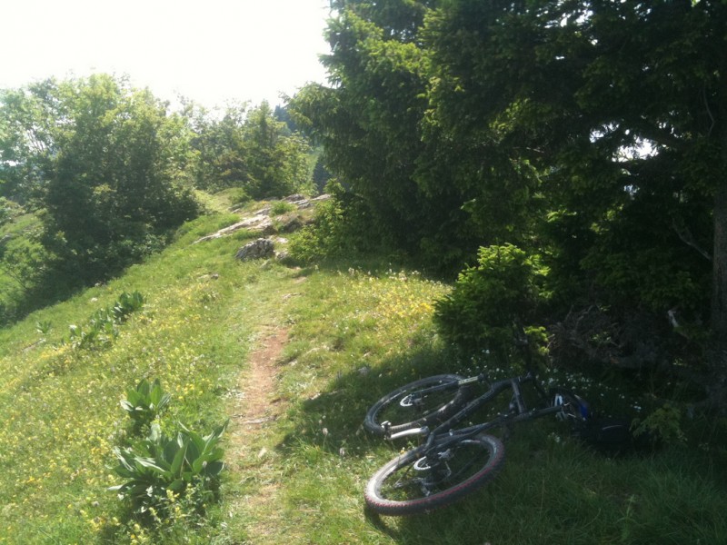 #2 Sentier : Le départ du sentier. Sentier : Le départ du sentier.