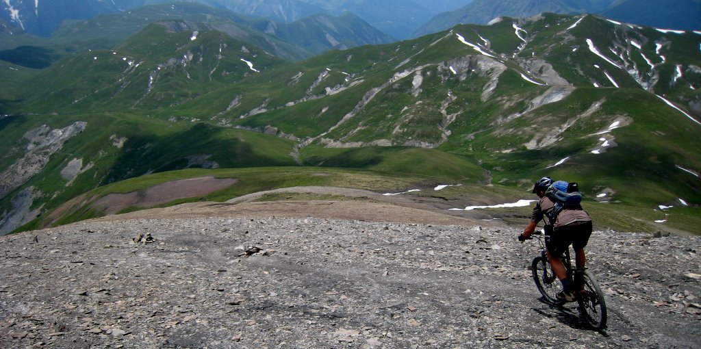 Retour aux alpages : aujourd'hui c'était bien tendre. Un régal !