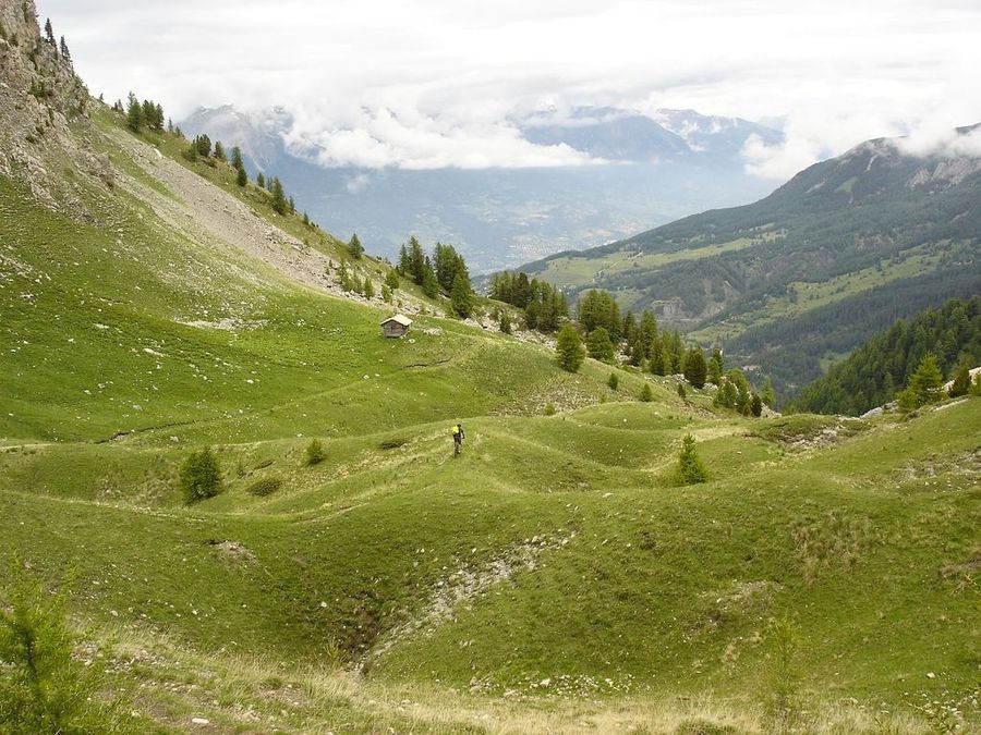 #52 Jour 3: vallon des Olettes : Momo serpente entre les dolines Jour 3: vallon des Olettes : Momo serpente entre les dolines