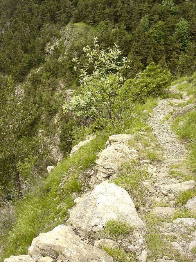 Jour 3: Chute interdite : ça passe mais il faut rester toujours bien concentré (et ne pas avoir le vertige)