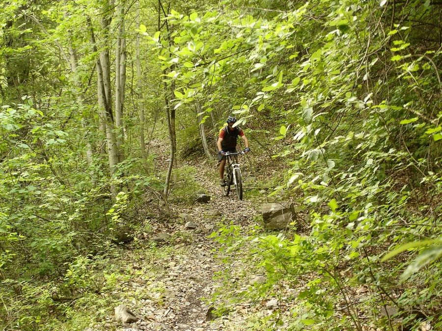 #87 Jour 4: Sentier : Descente jusque vers Espinasses Jour 4: Sentier : Descente jusque vers Espinasses