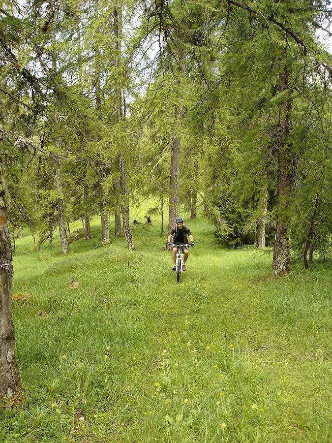 Jour 1: Sauvage : ça roule encore et c'est même très sympa...