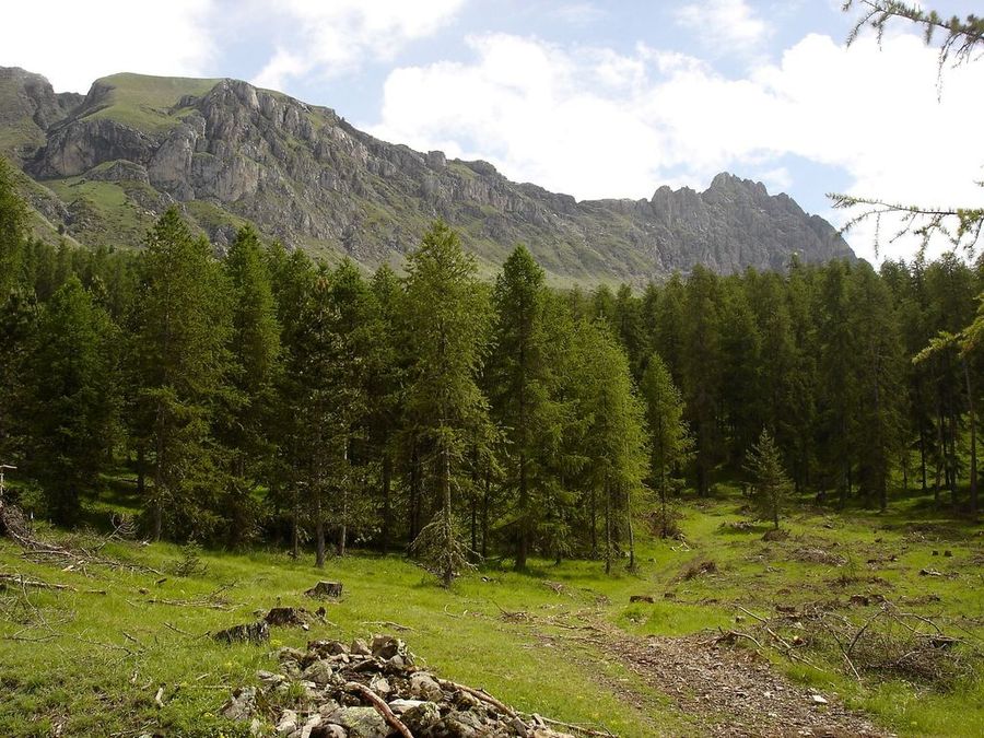 #5 Jour 1: Chabrières : Exploitation forestière en cours, début de l Jour 1: Chabrières : Exploitation forestière en cours, début de l'azimut jusqu'au sommet de la station de Réallon!