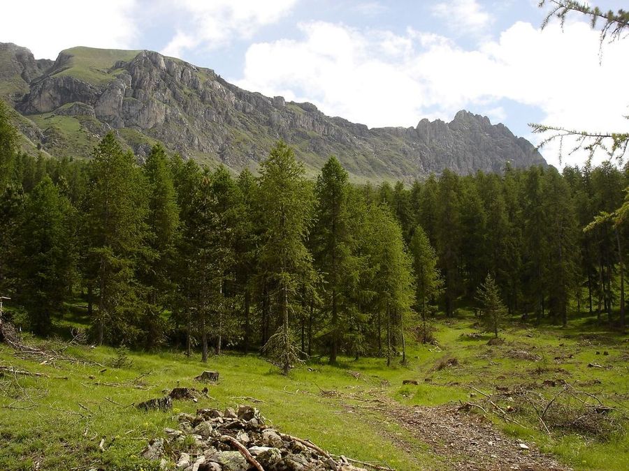 Jour 1: Chabrières : Exploitation forestière en cours, début de l'azimut jusqu'au sommet de la station de Réallon!