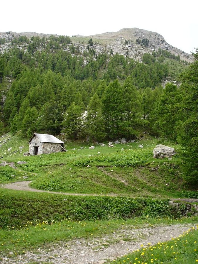 #31 Jour 2: Chapelle : les Seyères et le mont Guillaume Jour 2: Chapelle : les Seyères et le mont Guillaume