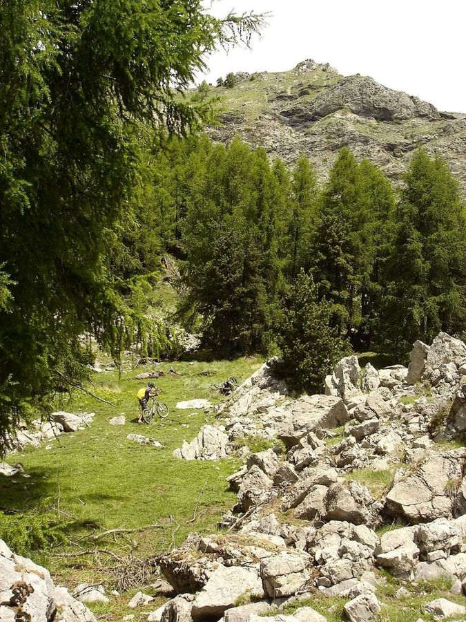 Jour 1: Pousse : Au pied de la crête, dernier raidillon...