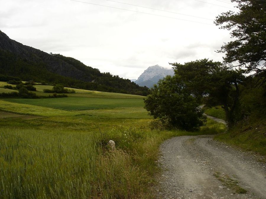 Jour 4: Col du Pré de Laus : Vue sur le Grand Morgon