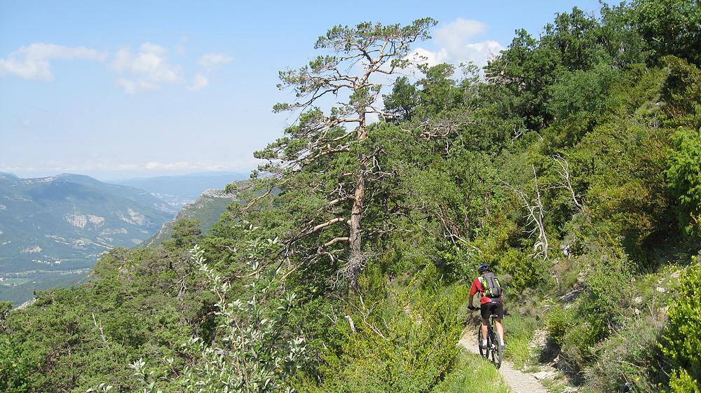 #8 Descente vers l Descente vers l'Abbaye : Belle section