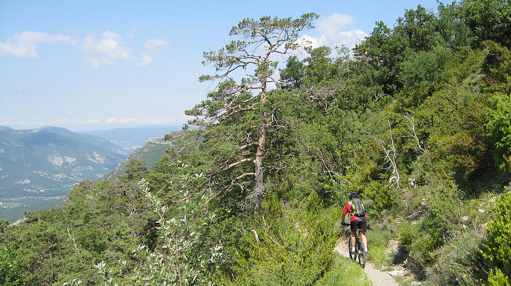 Descente vers l'Abbaye : Belle section