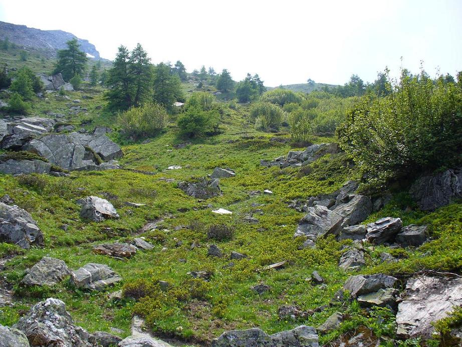 Casse Massion : Joli début de descente