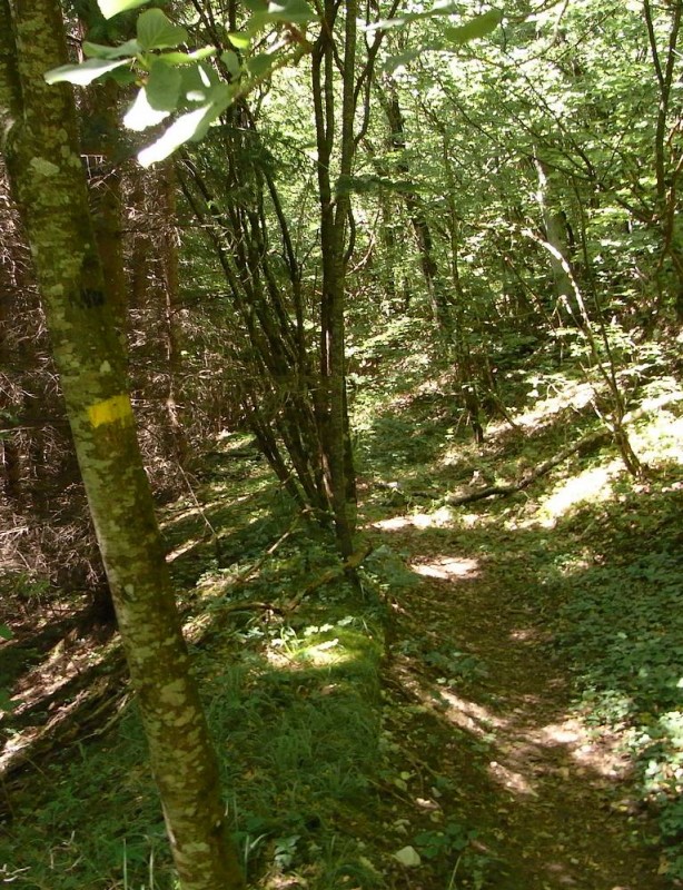 #15 single : qques passages roulants et agréables single : qques passages roulants et agréables