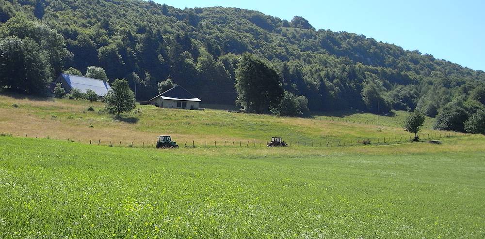 #5 campagne : course de tracteurs ? campagne : course de tracteurs ?