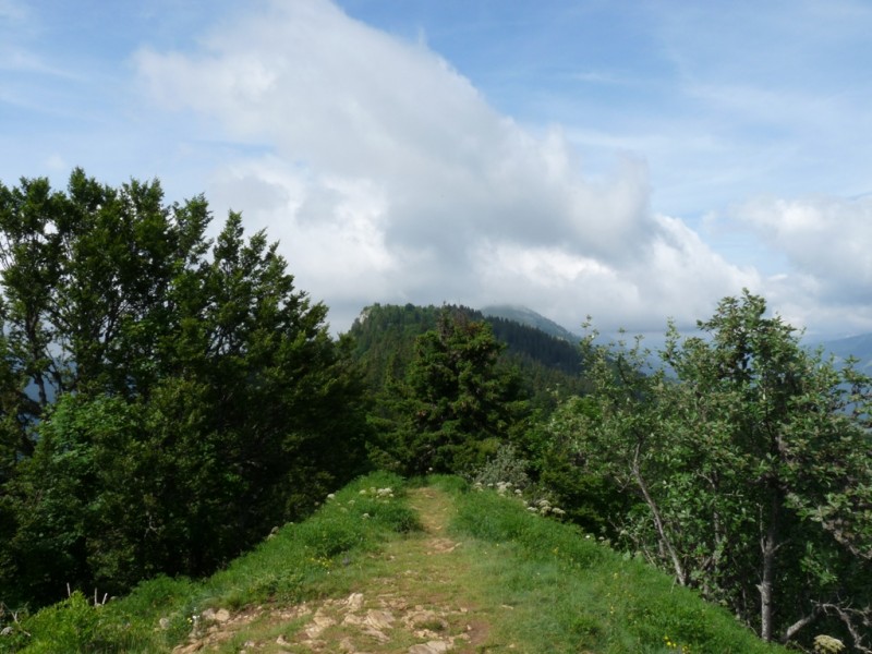 #3 Crête du Mont fromage : avec le Charmant Som en arrière plan mais dans les nuages. Crête du Mont fromage : avec le Charmant Som en arrière plan mais dans les nuages.