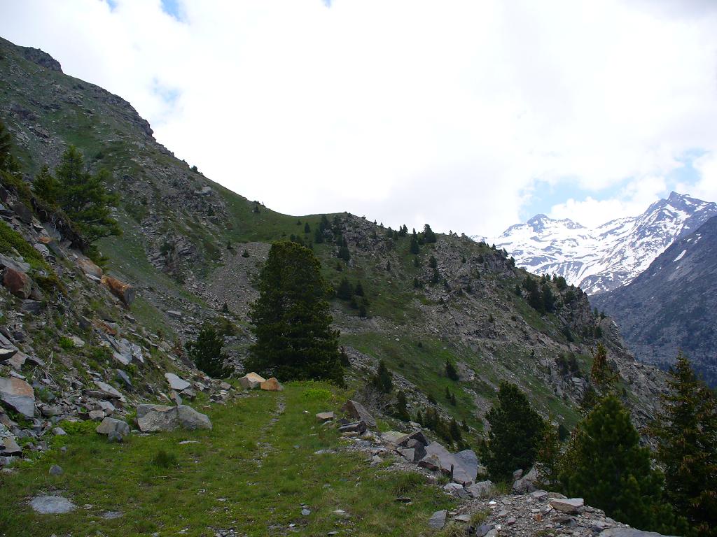 #9 Sentier Balcon : Le sentier devient herbeux Sentier Balcon : Le sentier devient herbeux
