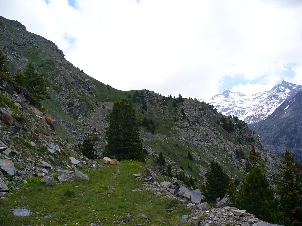 Sentier Balcon : Le sentier devient herbeux