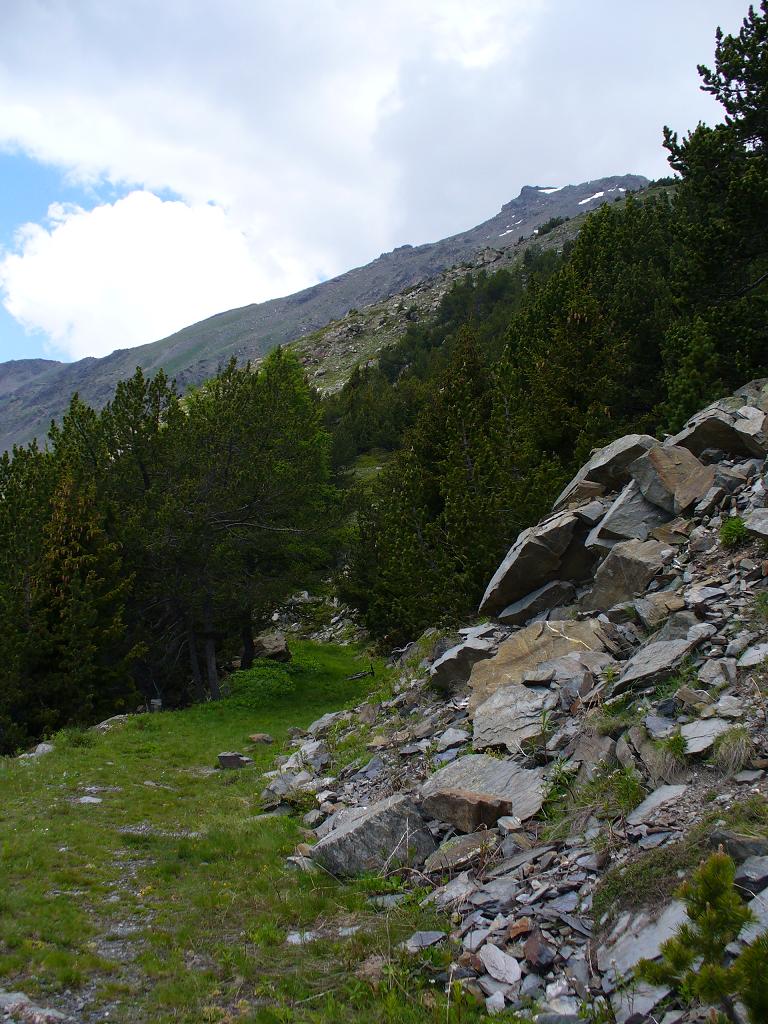 Sentier Balcon : Fin de sentier