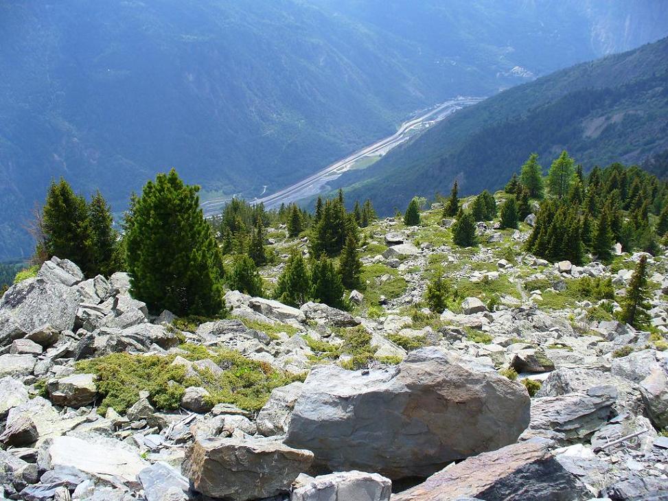 Sentier Descente : Terrain Chaotique