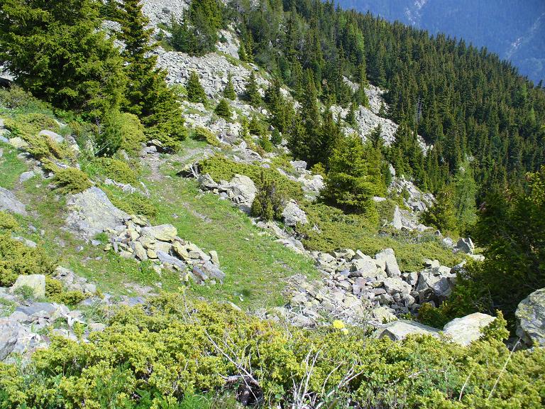 Sentier Descente : Les lacets du haut