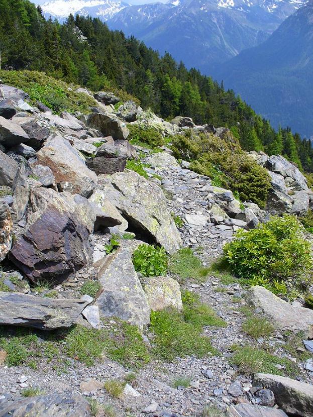 Sentier Descente : Le début chaotique