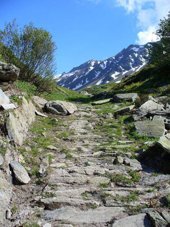 Sentier Descente : ... Voire Pavé ...