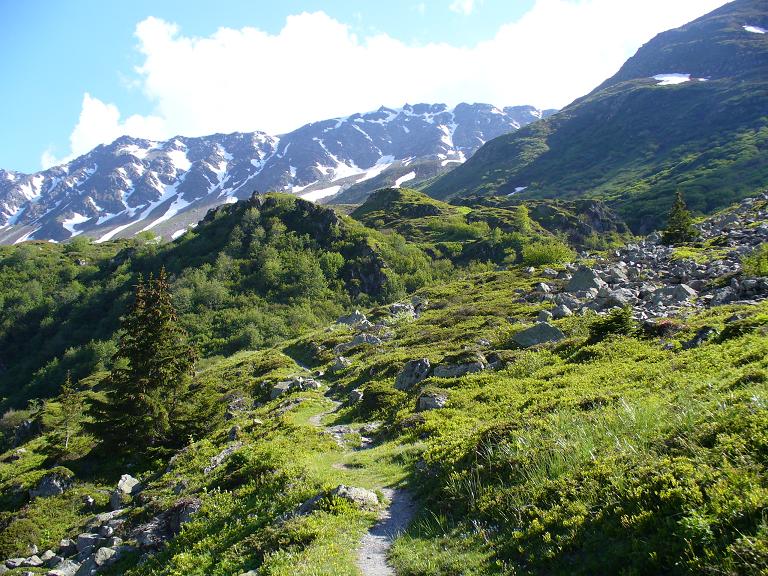 Sentier Descente : ... toujours magnifique ...