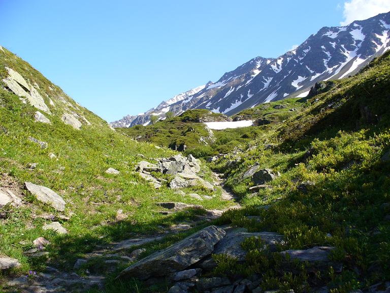 Sentier Descente : ... Beau ...