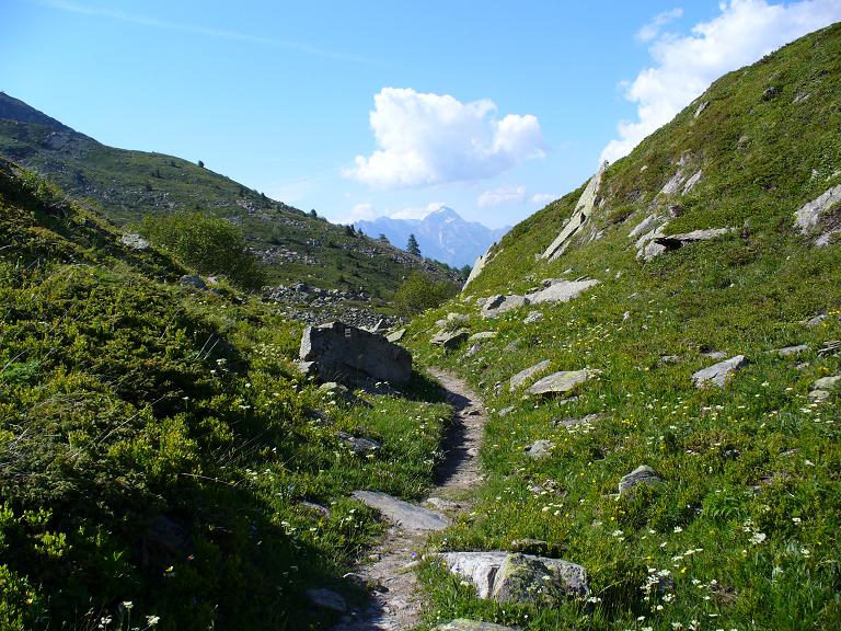 Sentier Descente : ... souvent roulant ...