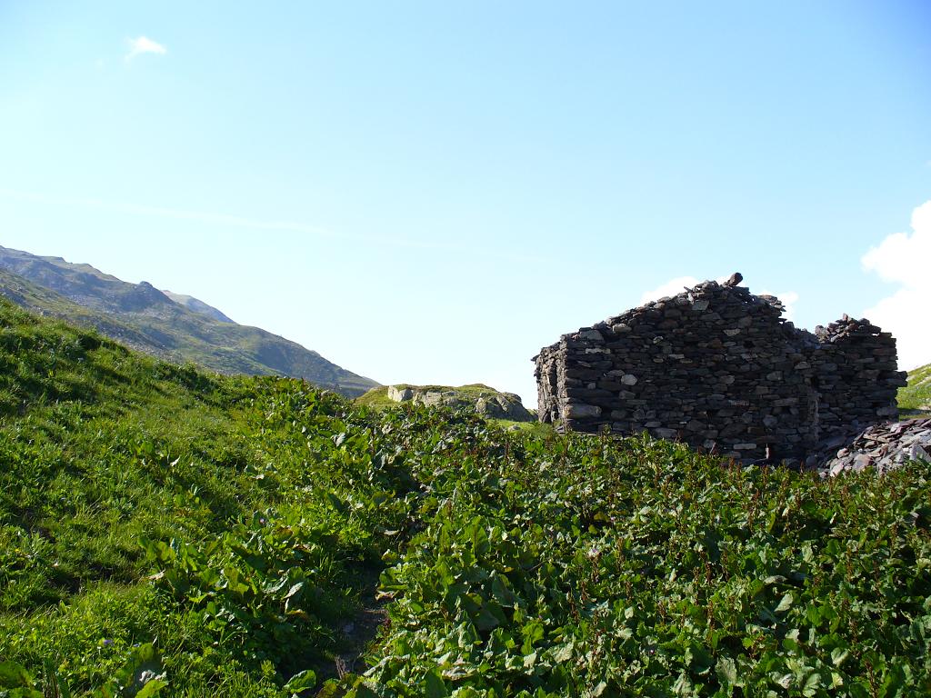 #16 Les Arendiers : Ruines Les Arendiers : Ruines