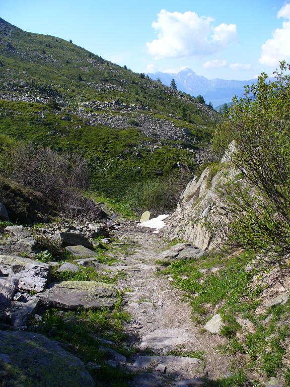 Sentier Descente : ... Quelquefois humide ...