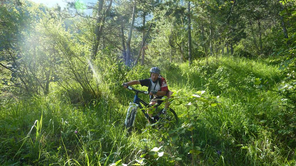 Marika' ST : Marika, le haut de ton sentier est vraiment bien touffu... mais que fait Jip le jardinier !!!